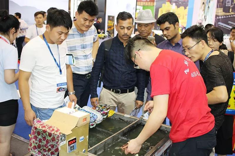 日照房车频道录制飞斯特郑州展会现场视频