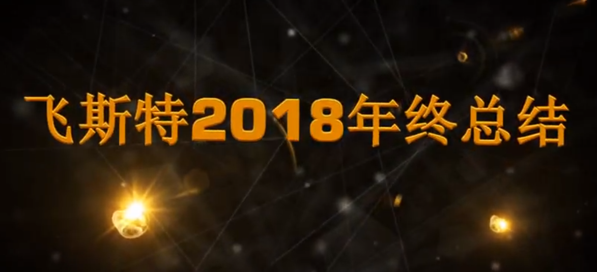 飞斯特汽车科技2018年度总