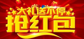 日照飞斯特